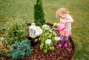 child_garden_mulch