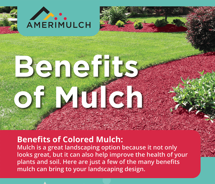 Mulch Benefits for Fungal Suppression Infographic Benefits of Mulch