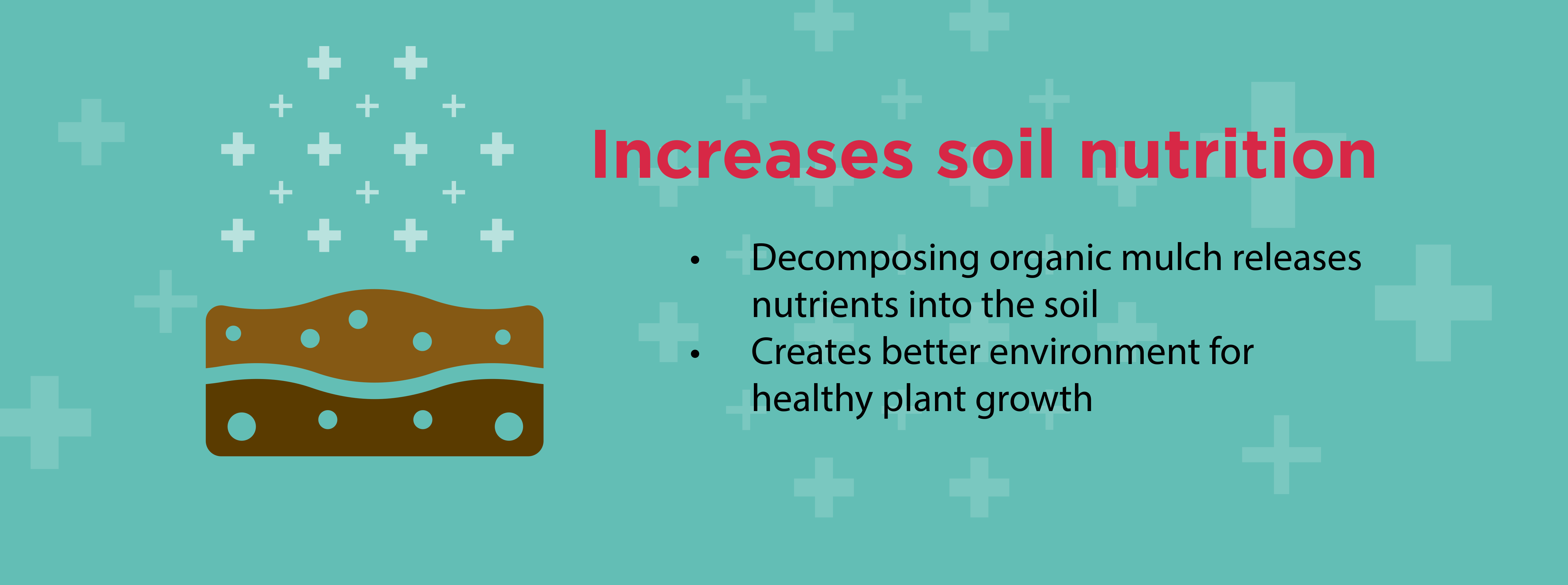 soil nutrition